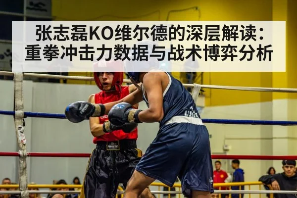 张志磊KO维尔德的深层解读:重拳冲击力数据与战术博弈分析