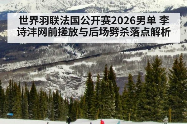 世界羽联法国公开赛2026男单 李诗沣网前搓放与后场劈杀落点解析