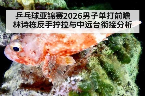 乒乓球亚锦赛2026男子单打前瞻 林诗栋反手拧拉与中远台衔接分析